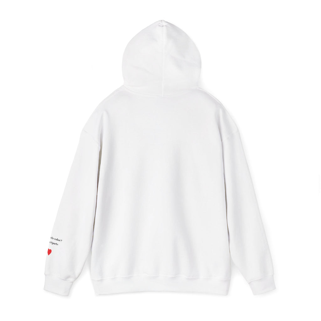 New England Sports Fan Hooded Sweatshirt