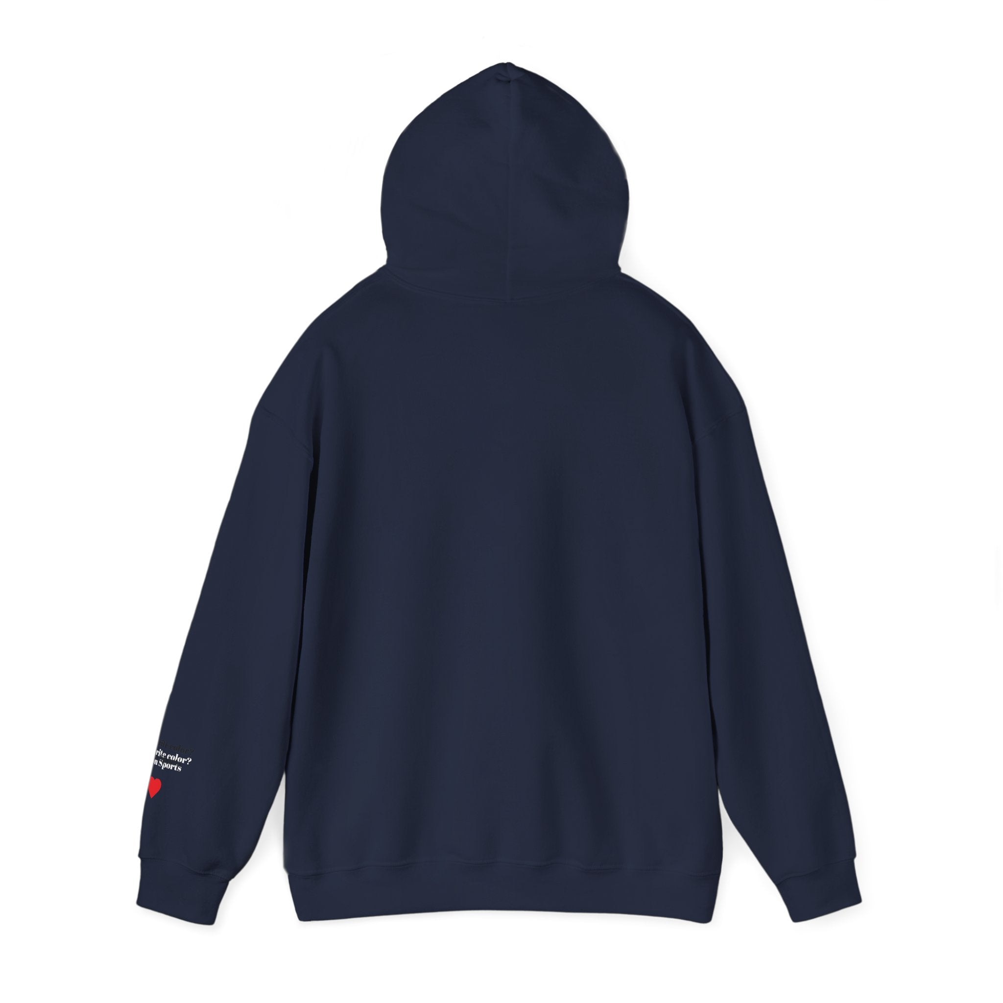 New England Sports Fan Hooded Sweatshirt