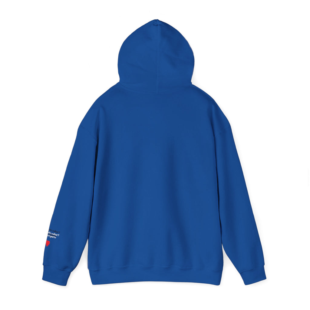 New England Sports Fan Hooded Sweatshirt