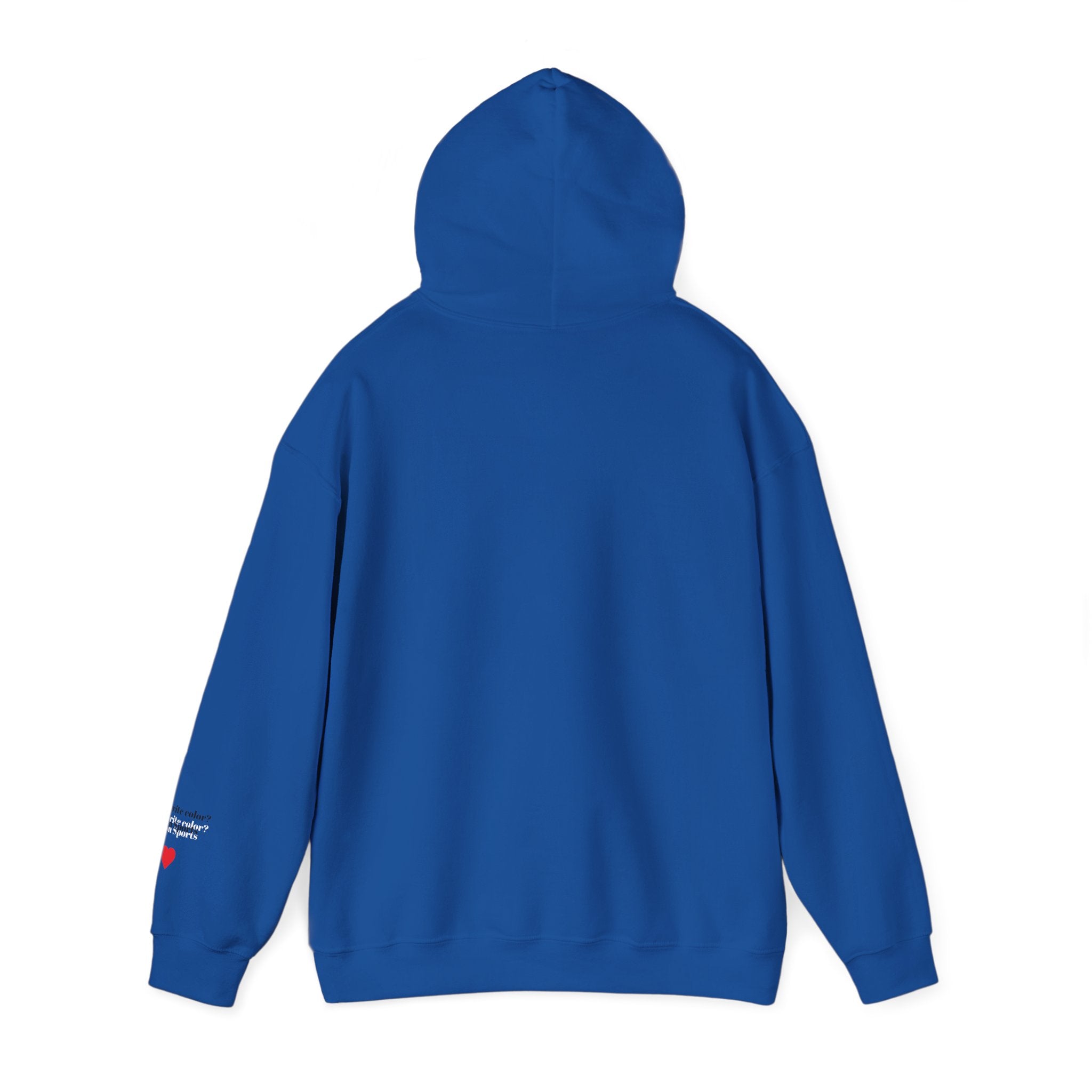 New England Sports Fan Hooded Sweatshirt