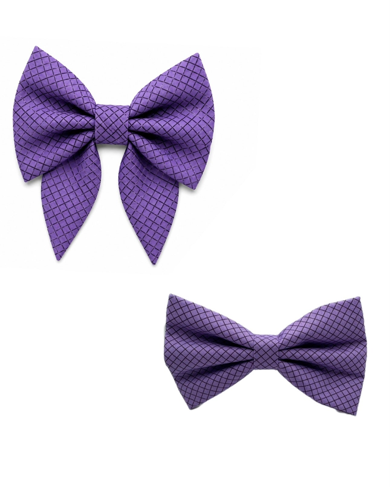 The Purple Gentleman