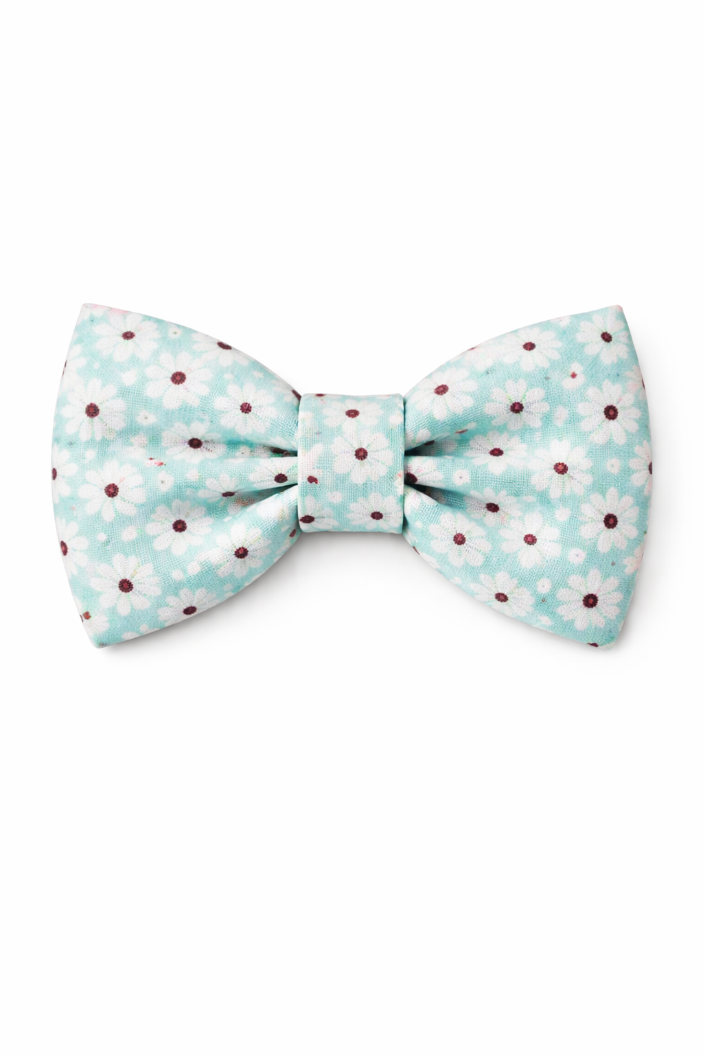 Minty Daisy