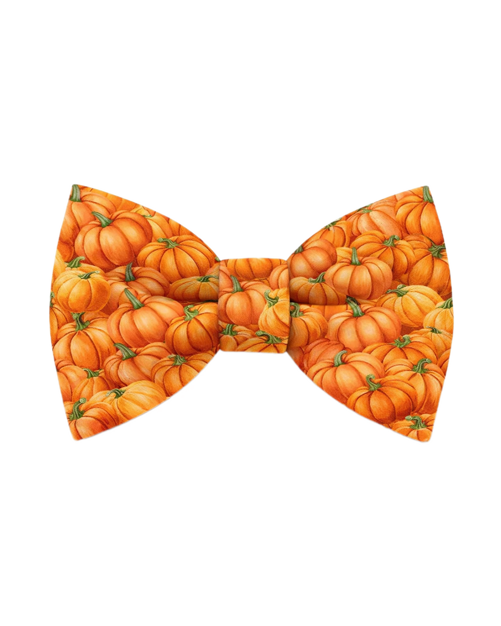 Pumpkin Patch