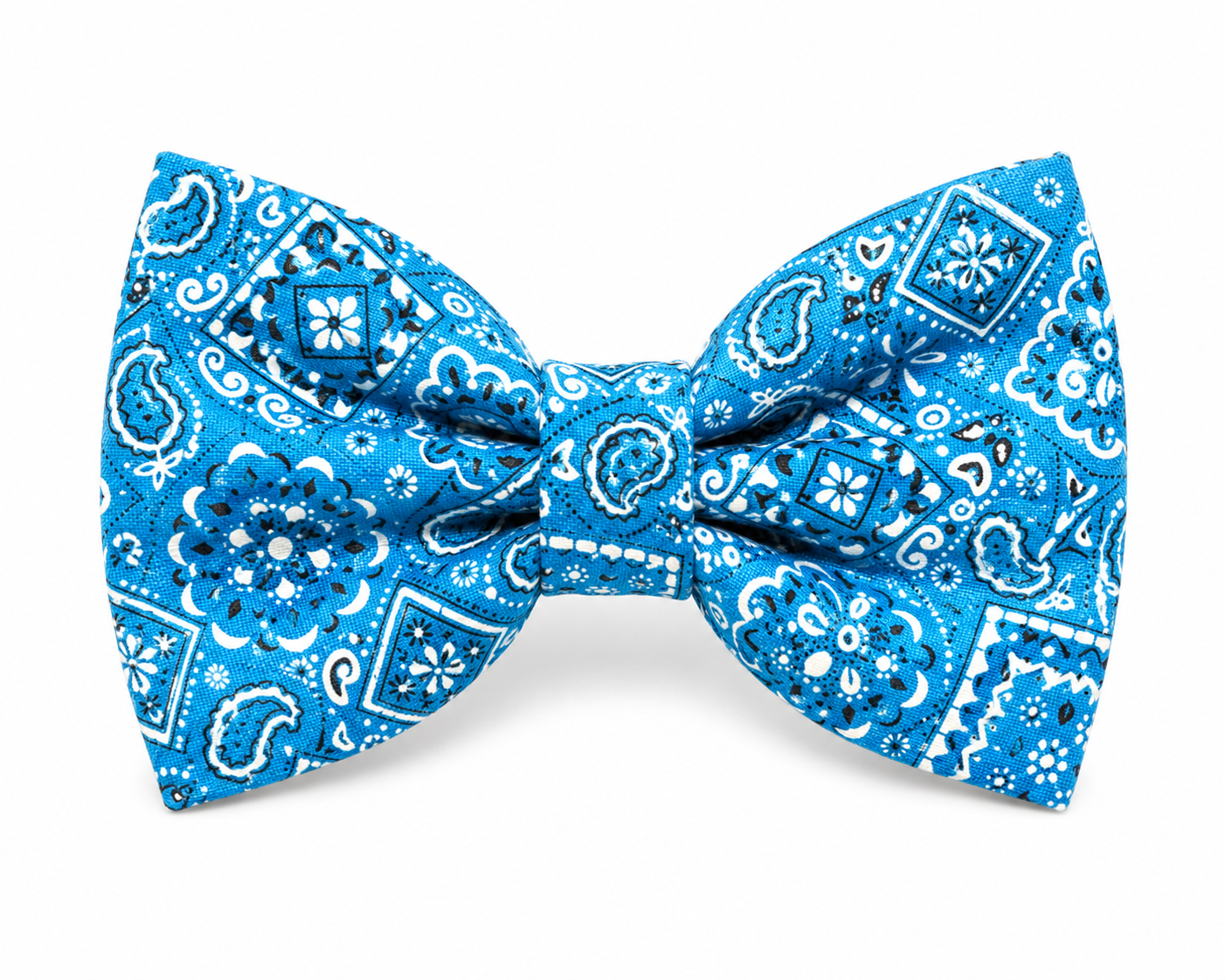 Paisley Charm