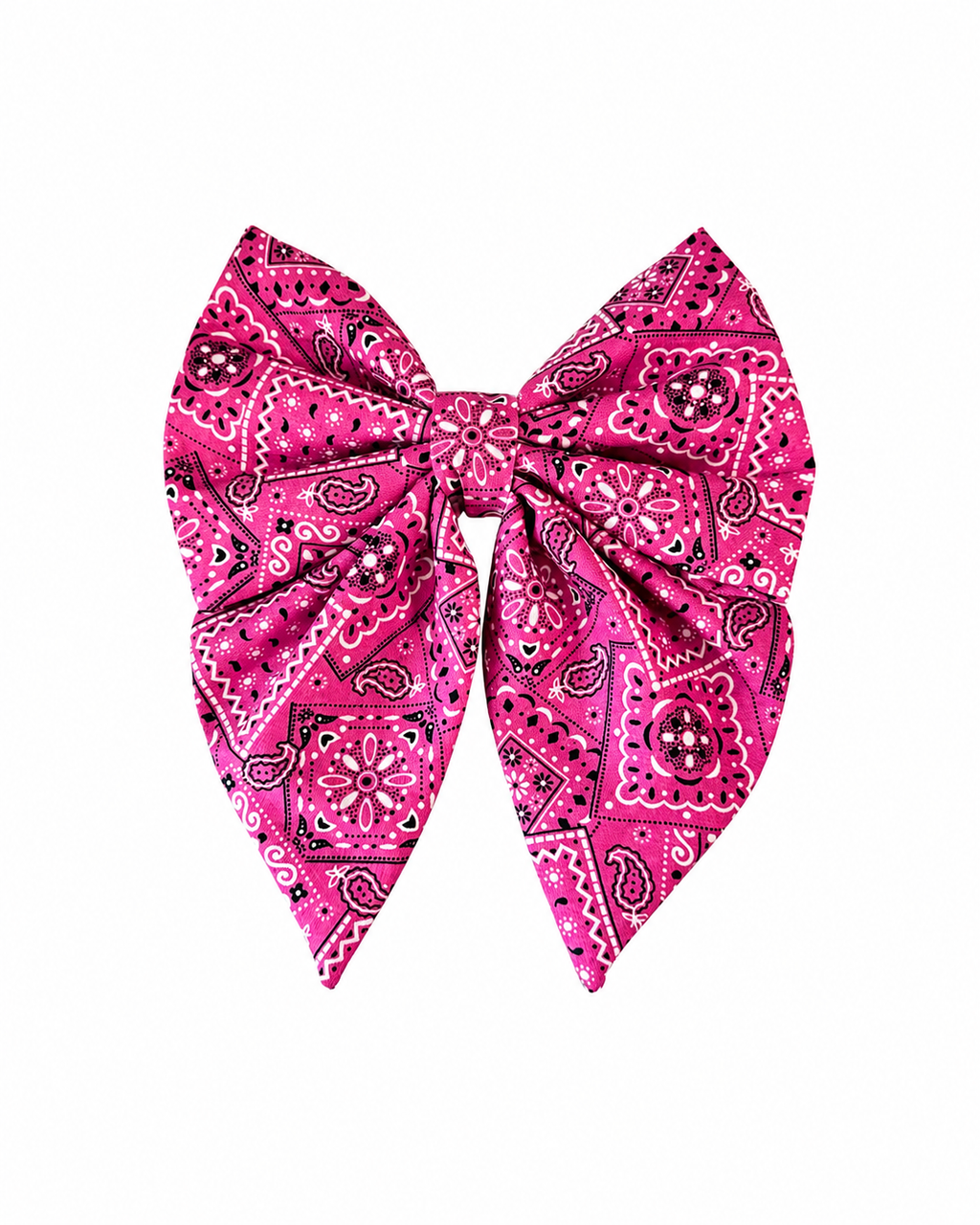 Paisley Charm